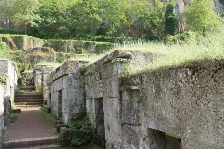 Ancient stone terrace ruins with moss, greenery, and stepped paths along a sunlit hillside.