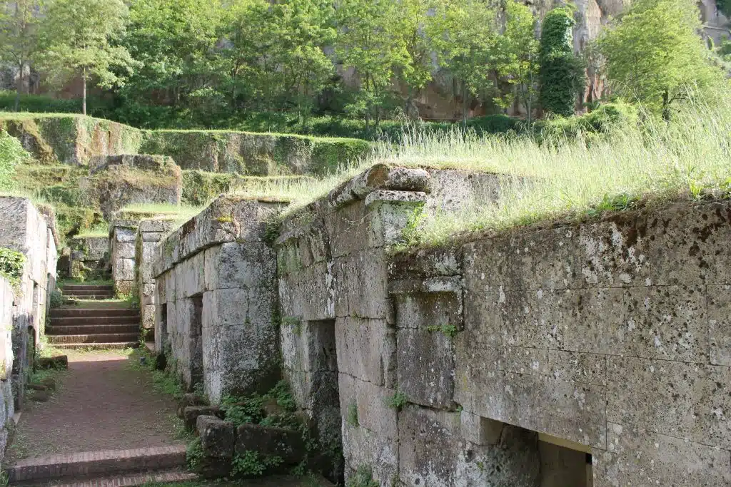 Ancient stone terrace ruins with moss, greenery, and stepped paths along a sunlit hillside.