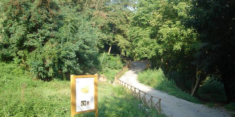 anello-rupe-orvieto