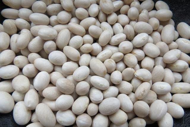 A special kind of bean produced in Orvieto, especially on the plan of Paglia river