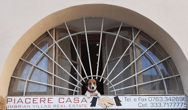 piacerecasa real estate in orvieto