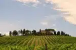 orvieto-winery-tour – Orvieto | Orvietoviva