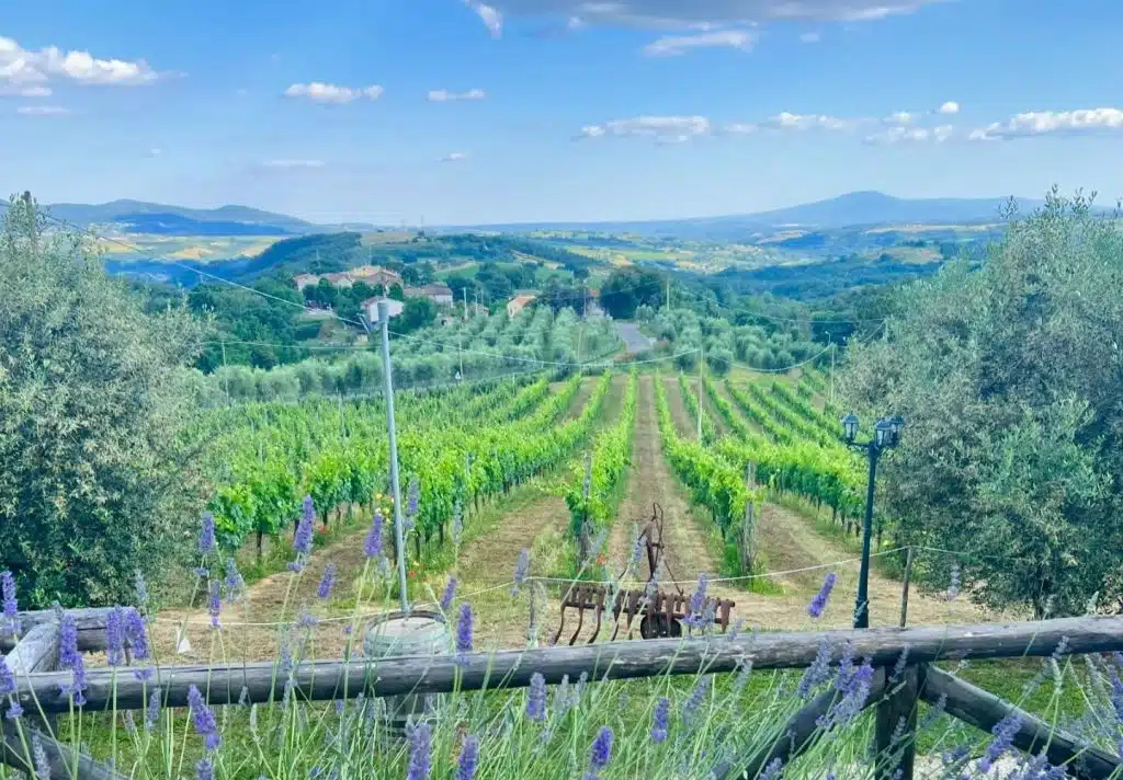 A private escorted tour (4h approx) to discover 2 great italian bio properties and taste great food paired with Orvieto wines.
