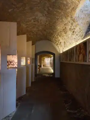 Palazzo-Vino-Prodotti-Orvieto – Orvieto | Orvietoviva