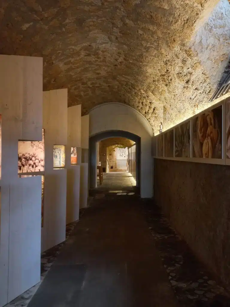 A palace in the medieval quarter with exhibition rooms, ideal for conference and events about the wine and food of Orvieto lands.