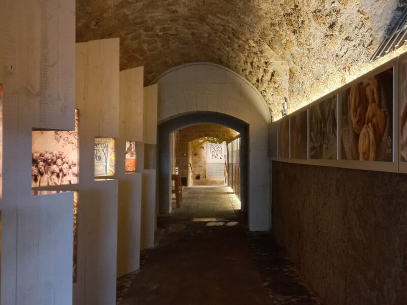 Palazzo-Vino-Prodotti-Orvieto Palazzo-Vino-Prodotti-Orvieto