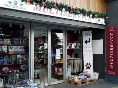 Multiservice-Orvieto – Orvieto | Orvietoviva